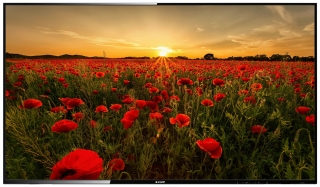 Arçelik A43K 580 Full HD (FHD) TV