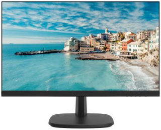 Hikvision DS-D5024FN Monitör
