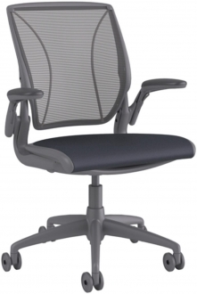 Humanscale Diffrient World Çalışma Koltuğu