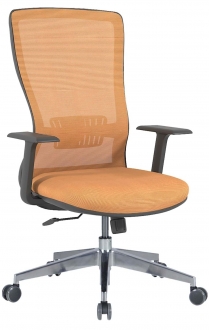 Uzay Ofis Dominik Alüminyum Yönetici Koltuğu