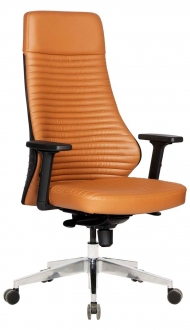 Uzay Ofis Snow Alüminyum UZAYOFS1019 Yönetici Koltuğu